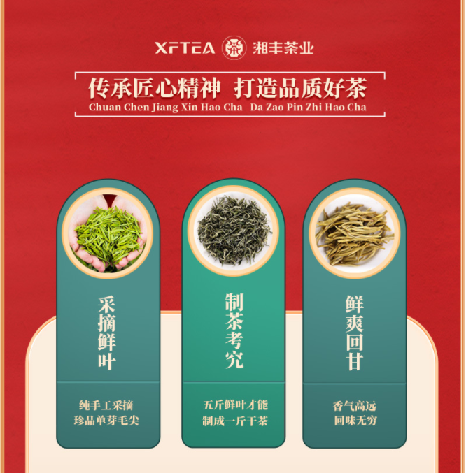 为人民服务7.png