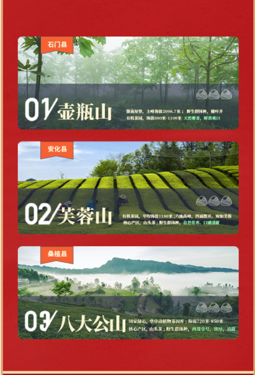 为人民服务10.png