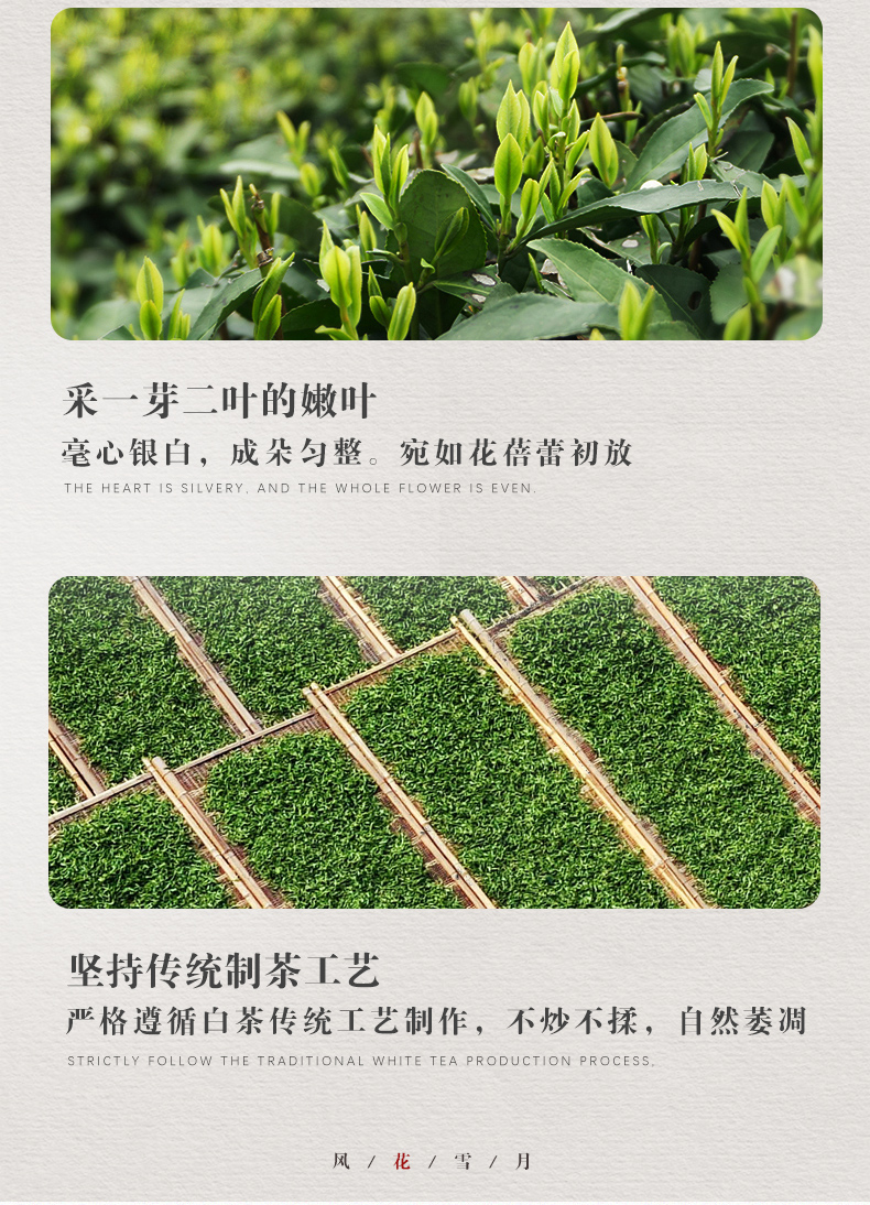 桑植白茶立袋_04.jpg