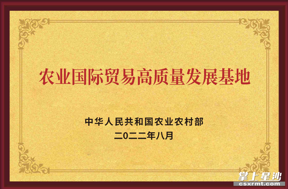 长沙县湘丰茶业集团为湖南省茶叶行业唯一获“国家级农业国际贸易高质量发展基地”认定的生产、加工、贸易复合型民营企业。均为集团供图