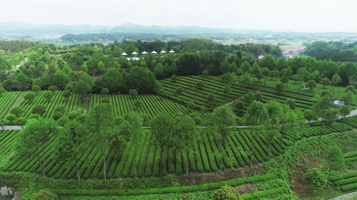 微信截图_20231120154758.png 微信截图_20231120154758.png