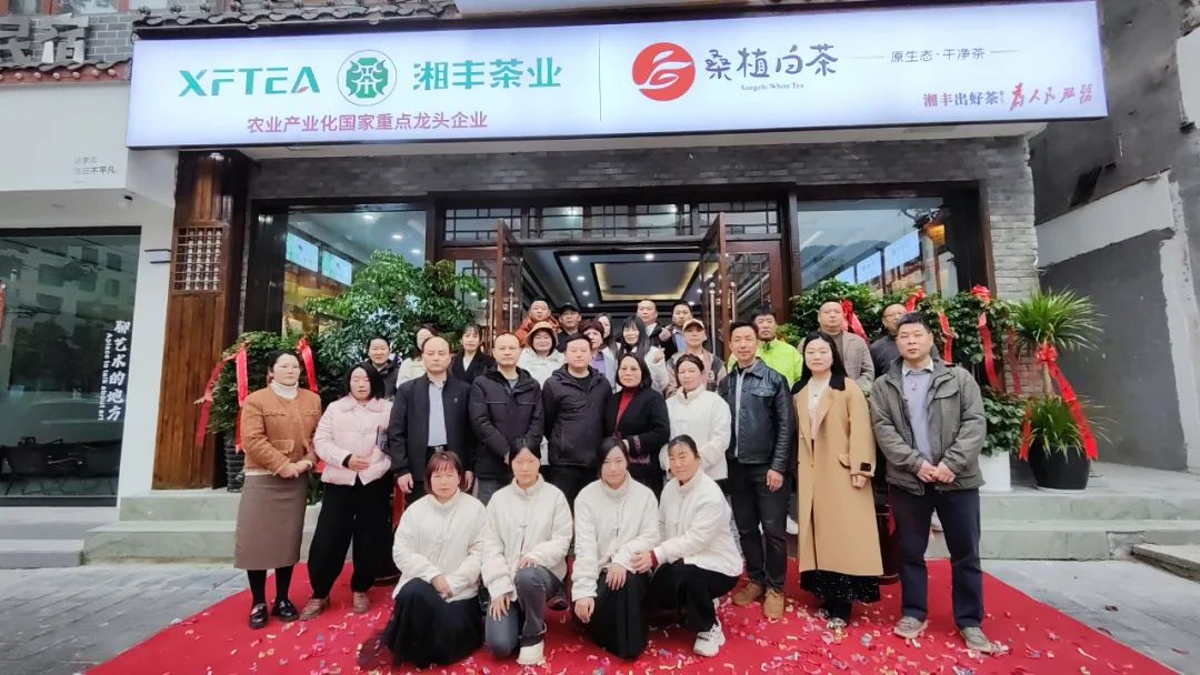 湘丰茶业·桑植白茶张家界武陵源旗舰店盛大开业！