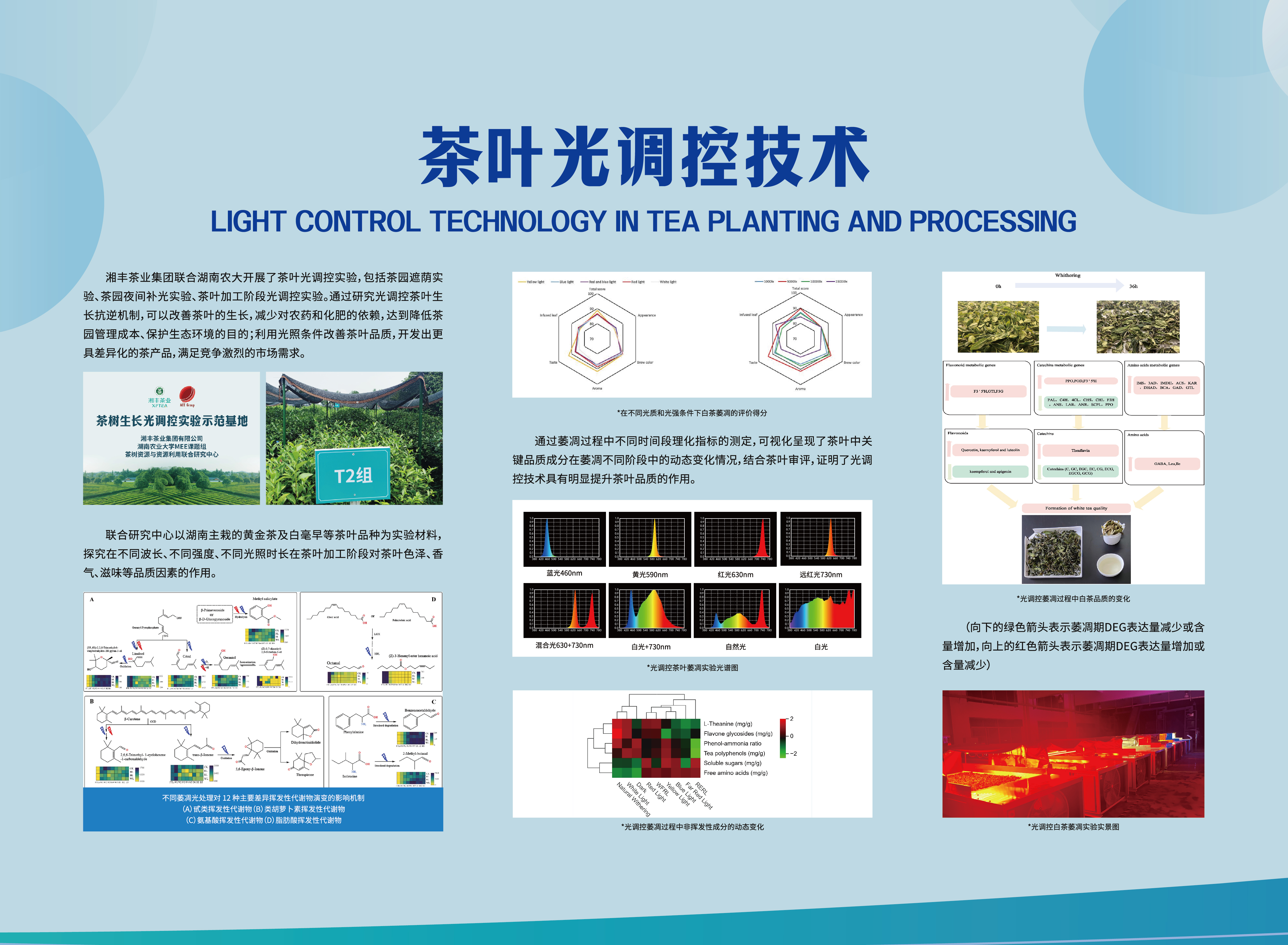 科技湘丰-茶叶光调控技术.jpg