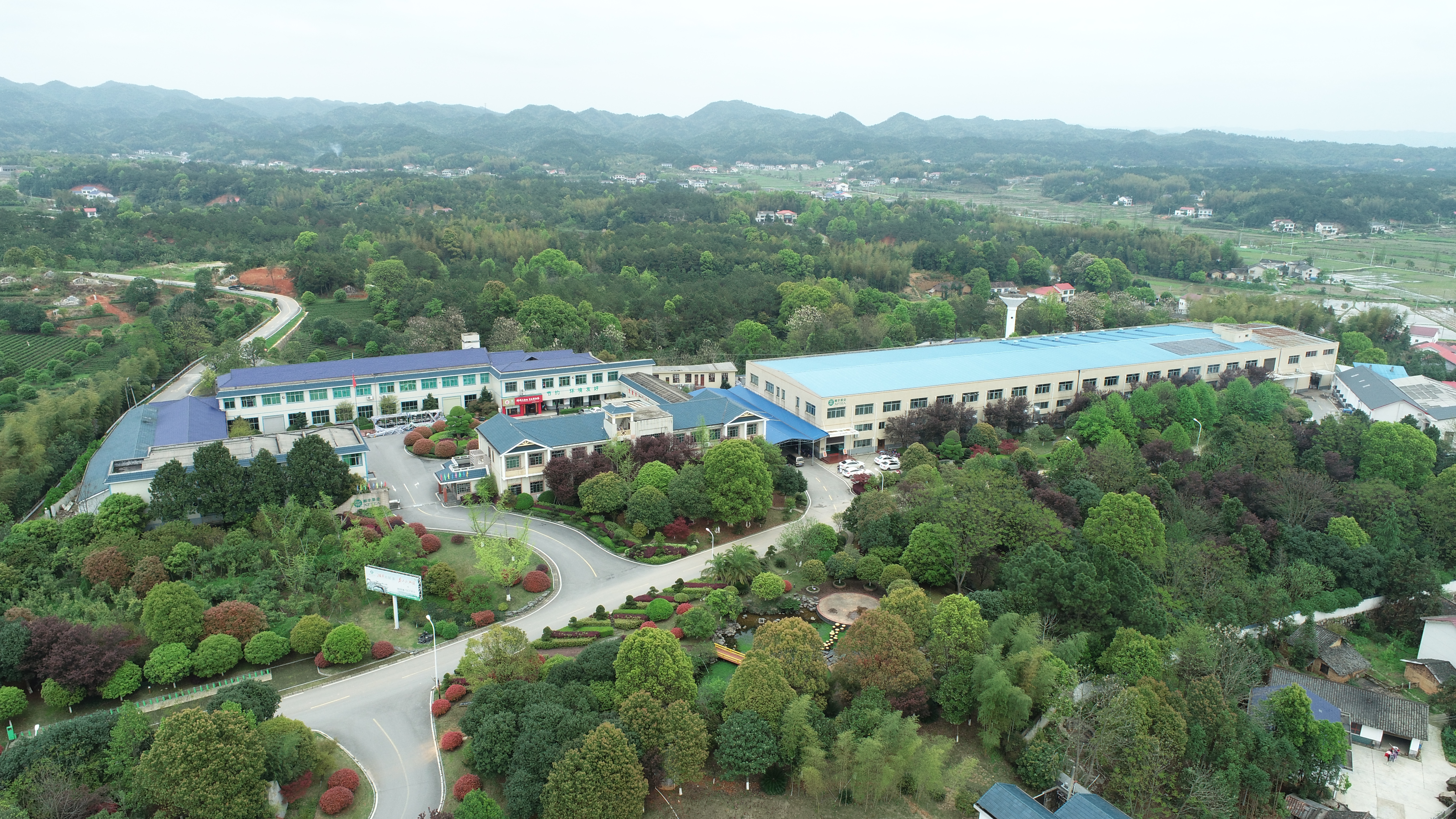 湘丰茶业集团-花园式厂区.JPG