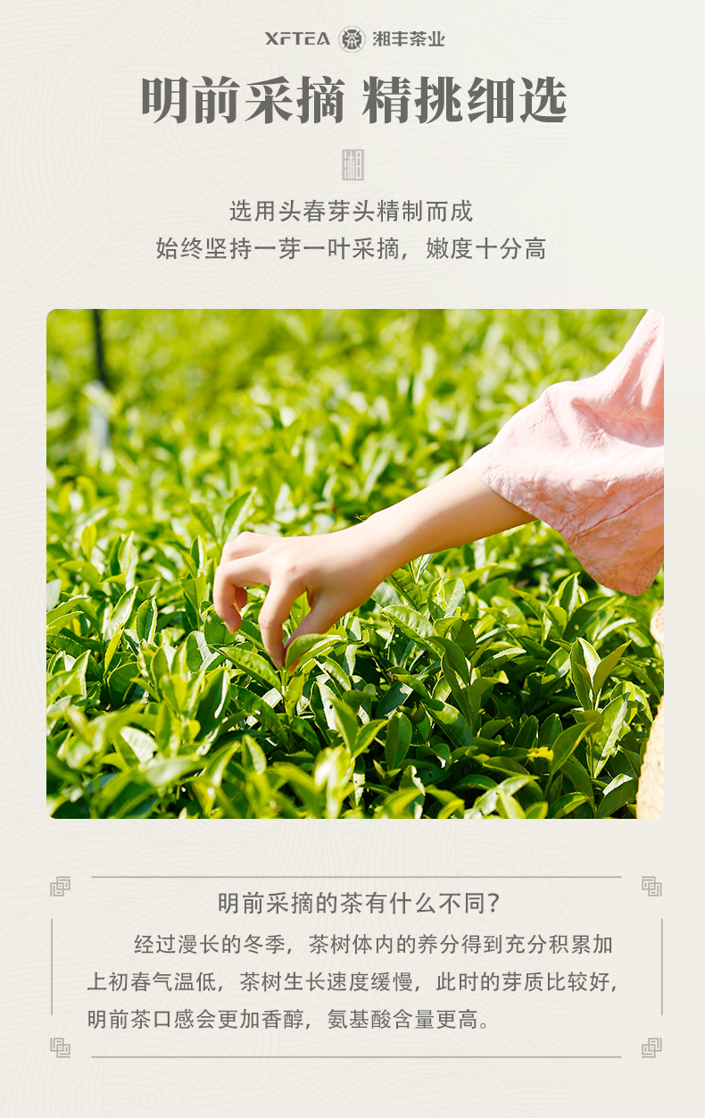 湘波绿_02.jpg