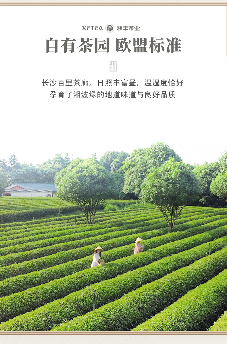 湘波绿_03.jpg