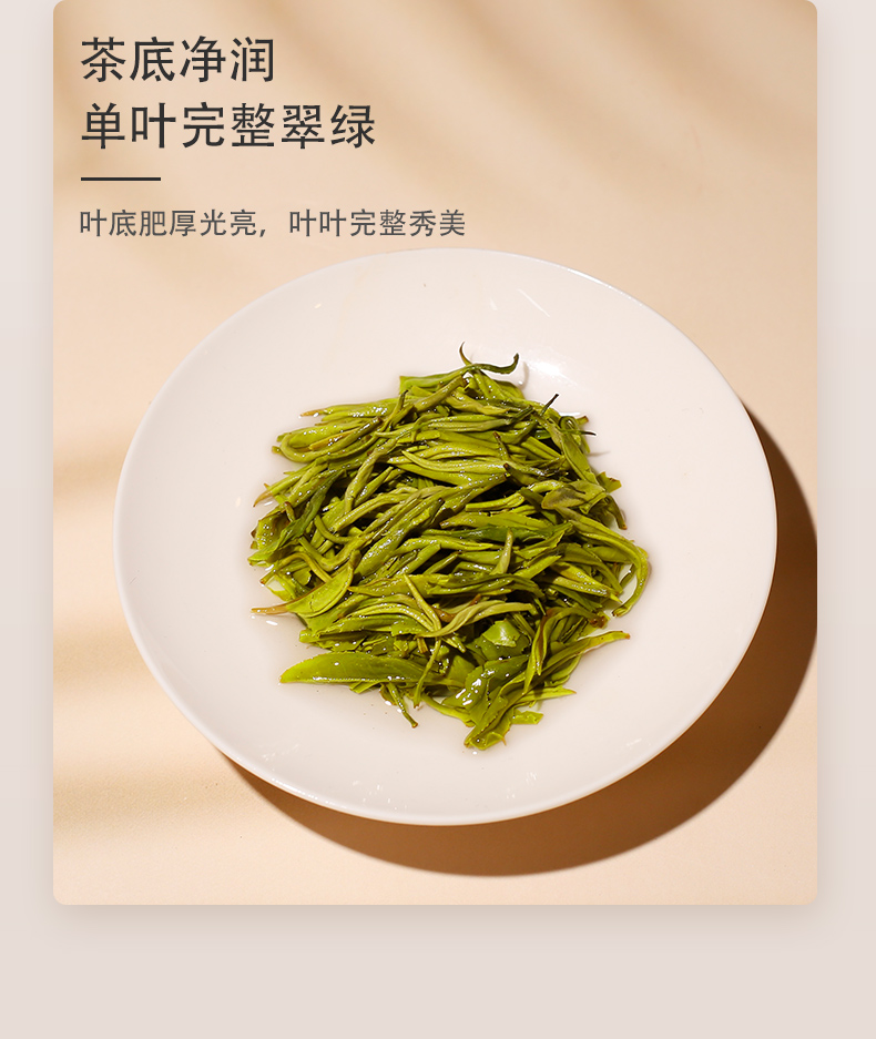 湘波绿_08.jpg