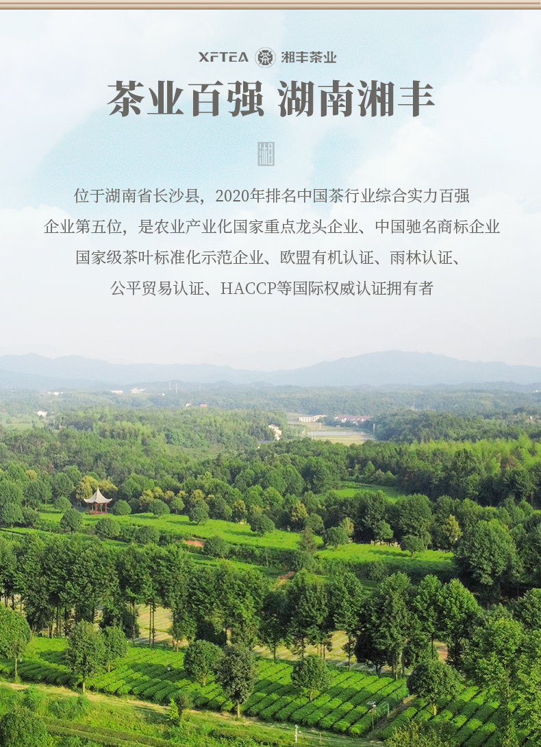 湘波绿_09.jpg